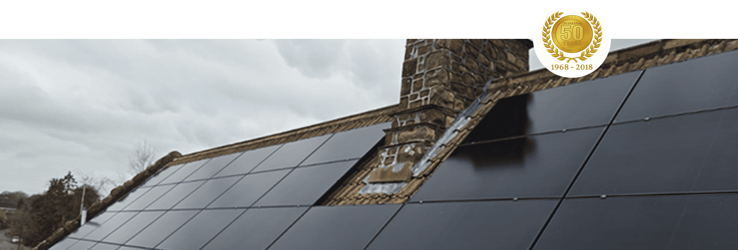 renewables for a brighter cleaner future image